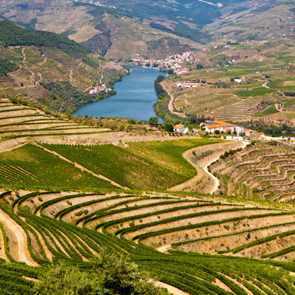 Douro Valley